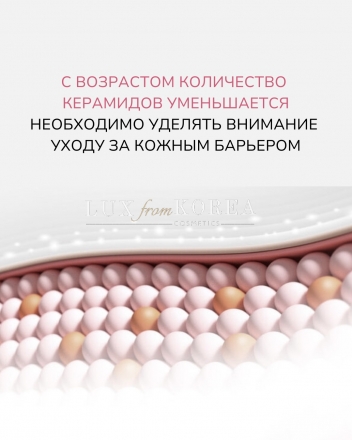 Miracle Moisture 4pcs Set O HUI - увлажняющий набор с керамидами: тонер, эмульсия, крем, кушон