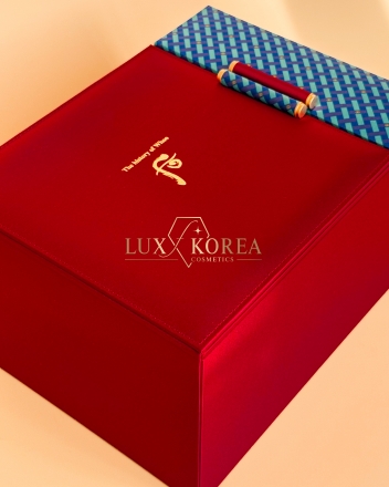 Cheongidan Radiant 6pcs Special  Set The History of Whoo - 2-этажный набор косметики