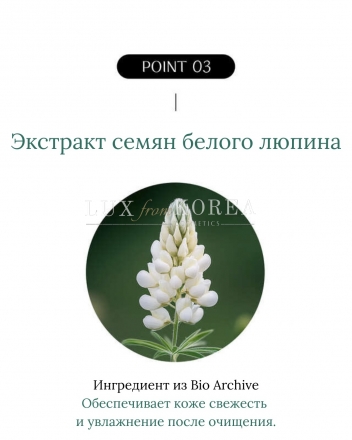 Prime Advancer Gel to Foam Deep Cleanser Special Set O HUI- очищающий гель-пенка